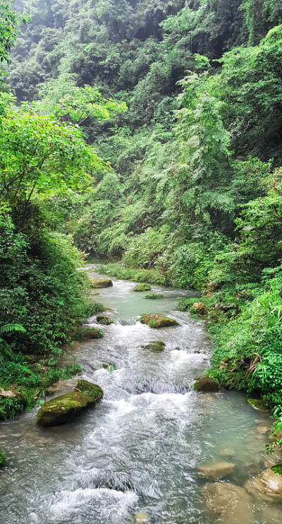 大峡谷玻璃桥徒步旅行，武陵源-张家界，中国
