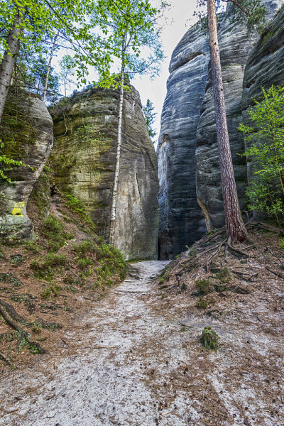 Adrspach - Rock City