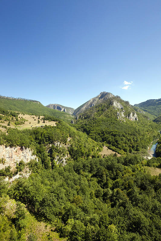 高山地区