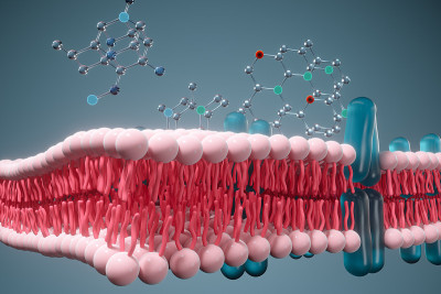 细胞膜与生物学，生物学概念，3d渲染。