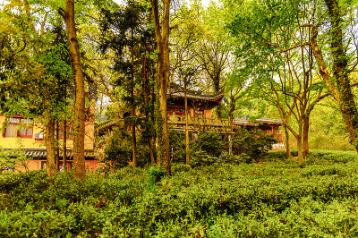 灵隐寺建筑群。中国最大的佛教寺庙之一