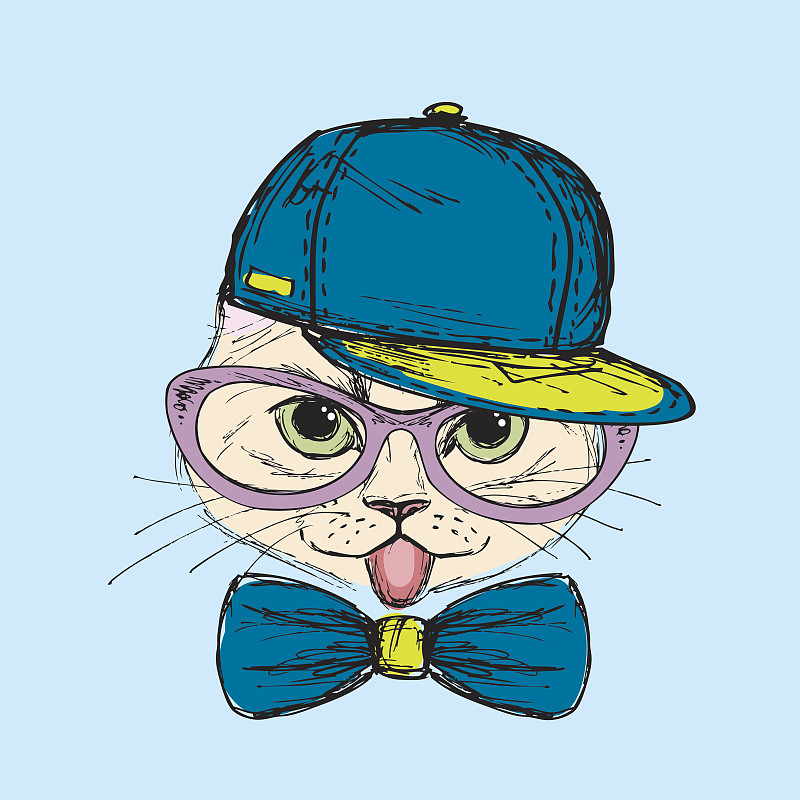时尚肖像的潮猫在大眼镜
