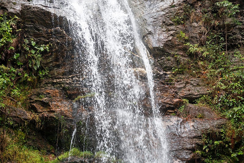 veadeiros的Chapada dos veadeiros