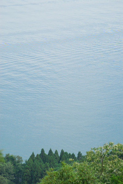 小波