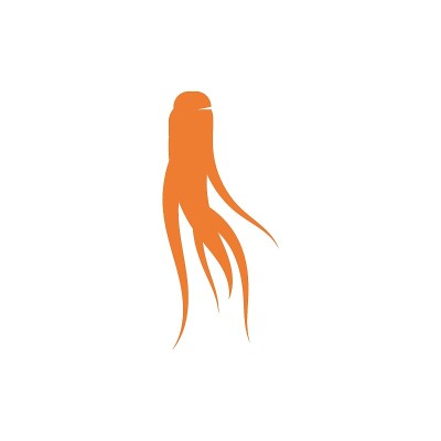 人参