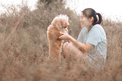亚洲女性青少年花时间爱宠物贵宾狗