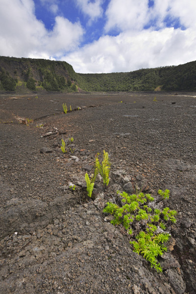 美国夏威夷大岛上的基拉韦厄火山口