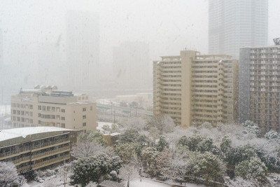 东京的雪