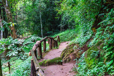 美丽的风景，自然和天空在塔顶旅行