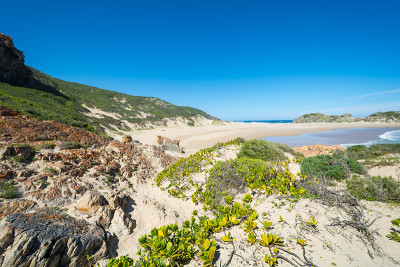Robberg，花园路，南非