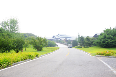 道路和建筑物，特写照片