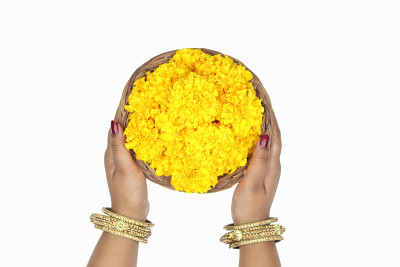 在Shubh Deepawali, Dussehra, Navratri, Durga Pooja等