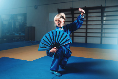 女武术大师以扇子、武术家为主