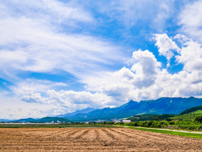 富野市是日本北海道县的一个城市，位于上川副县的南部，其所在地管辖。