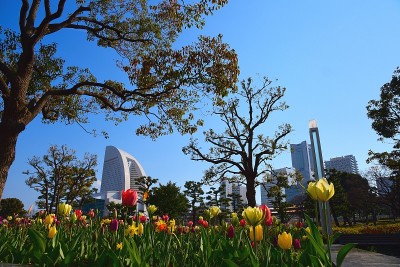 横滨Minatomirai