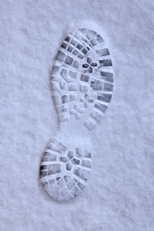 在雪的足迹