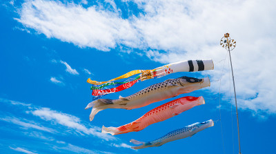 鲤鱼等浮电缆