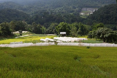 泰国清迈地区