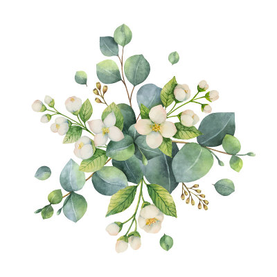 水彩向量花束与绿色的桉树叶和花。
