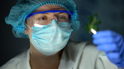 生物学家拿着绿色植物样本，分析植物区系分类，转基因生物