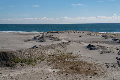 海岸