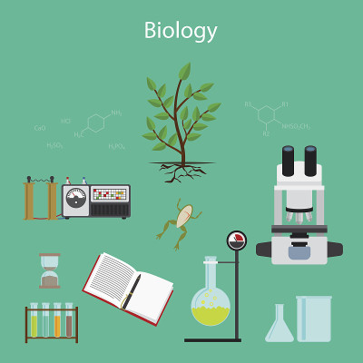 生物学研究卡通插图