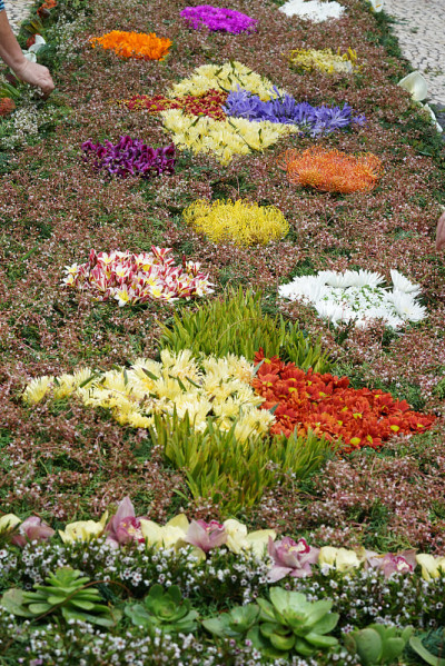 花地毯
