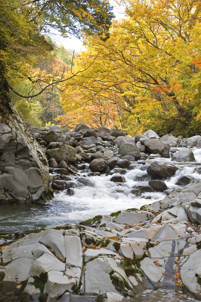 秋天的中津川峡