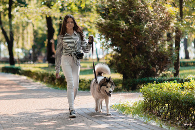 一个女孩在公园里遛狗。为动物做产品广告。户外活动