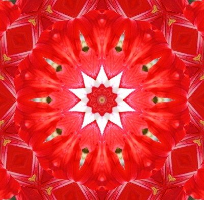 万花筒莉莉