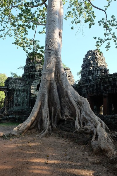 Banteay Kdei的中世纪高棉庙宇。建筑的吸引力。古老的建筑。