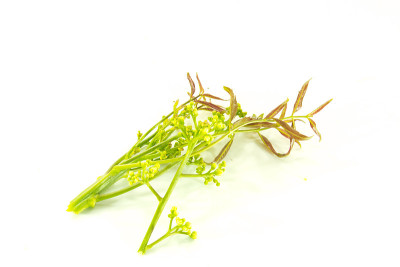 拿花