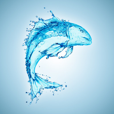 水鱼飞溅