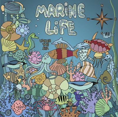 涂鸦海洋生物。海洋动物