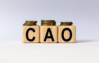 上面写着CAO的方块保健的概念。