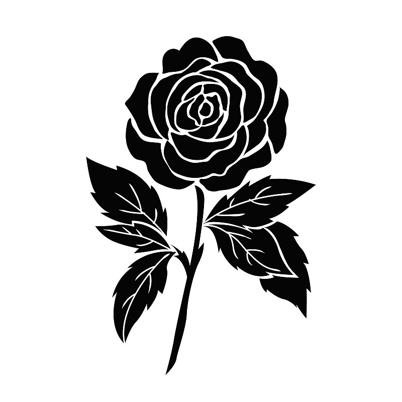 孤立的黑玫瑰，花纹身插图，剪影向量