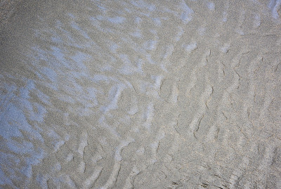 皮哈海滩的波纹沙
