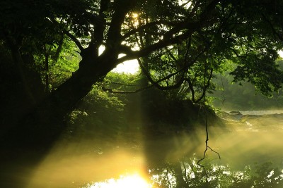 岩手县夏季山溪