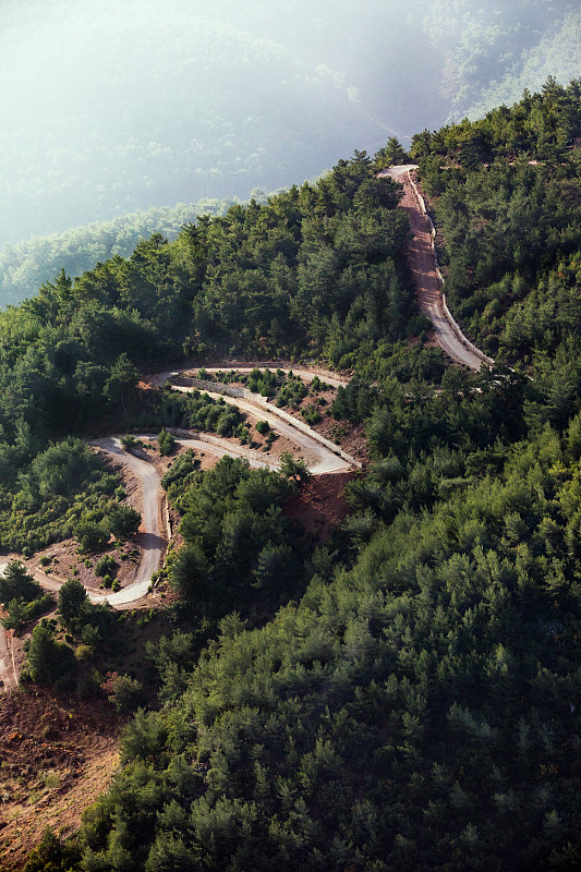 小路在山上和森林里。