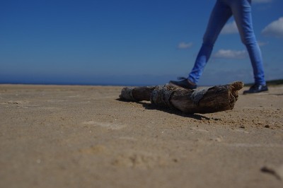夏日，波罗的海里加海湾的海滨