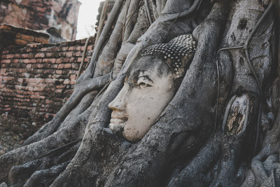 背景:仿古佛像石头像位于泰国大城府大马哈寺菩提树根寺。泰国游客祈祷好运，禅宗和平和神圣的冥想放松。