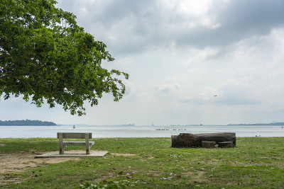 俯瞰海滩和空旷的公园长椅