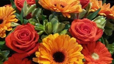 橙色非洲菊和红玫瑰花束