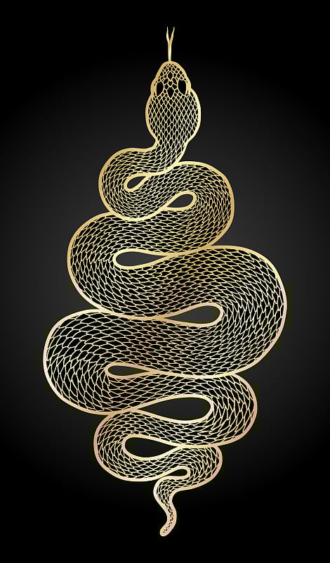 盘蛇详图