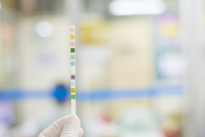 近距离尿检的科学家。