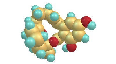 玉米赤霉烯酮分子结构分离上白