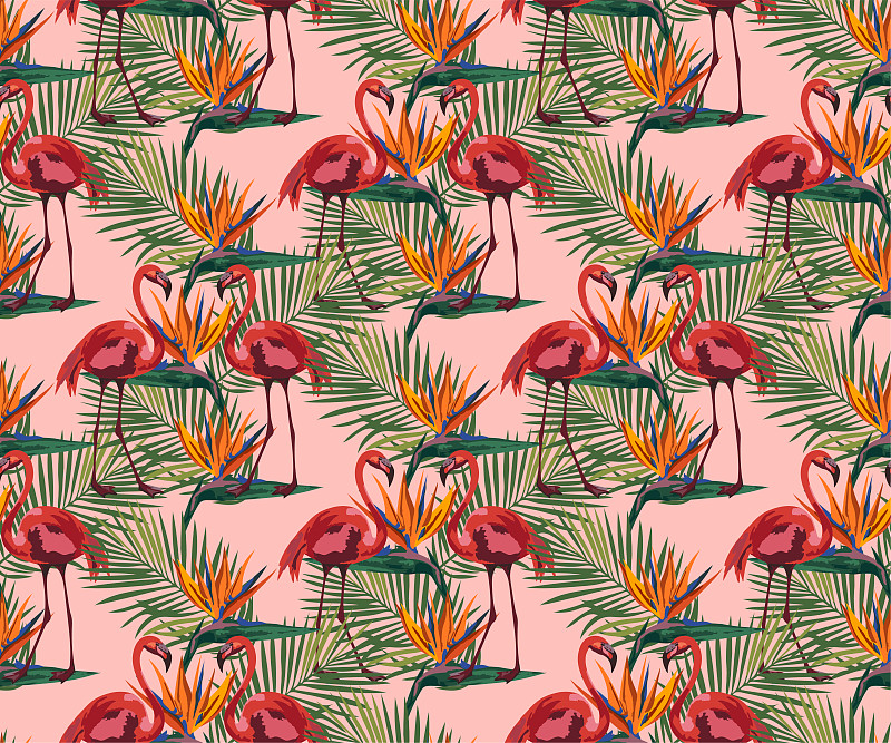 Vector flamingo pattern. Ethnic seamless pattern o