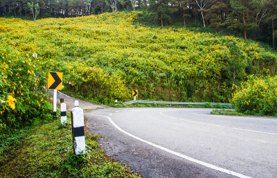 花路