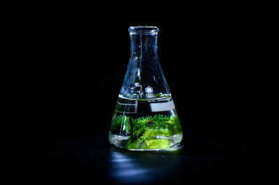 藻类研究实验室，生物技术科学概念