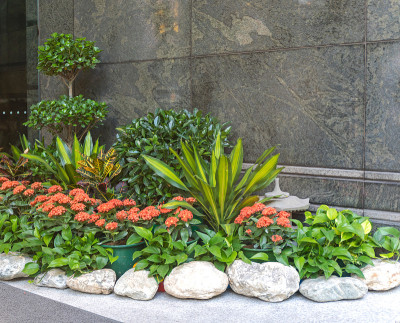 绿洲花园城市